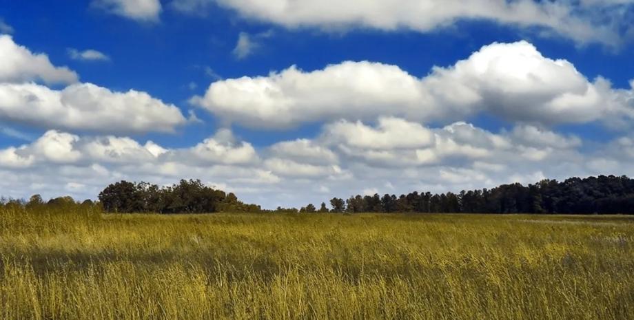 В небе над Землёй происходят значительные изменения, и вскоре оно станет совершенно другим.