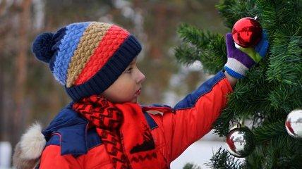 В двух украинских городах появились необычные новогодние елки (фото и видео).