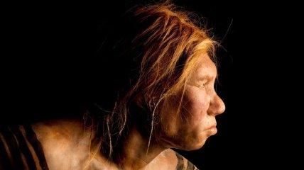 "Did Neanderthals wear embroidered shirts?" Where in Ukraine did the alpha predators of the Stone Age reside?