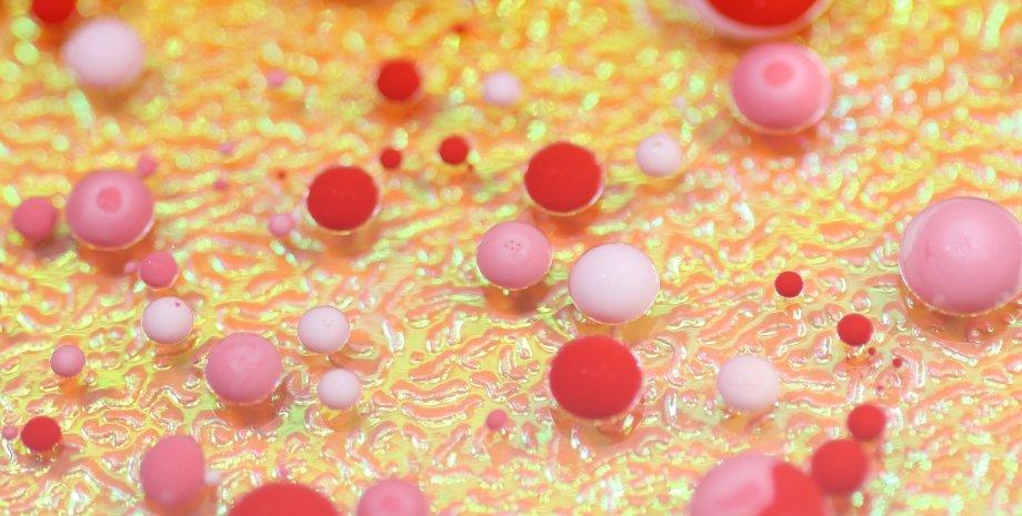 Lost among millions: Researchers have discovered unique fat cells in our bodies.