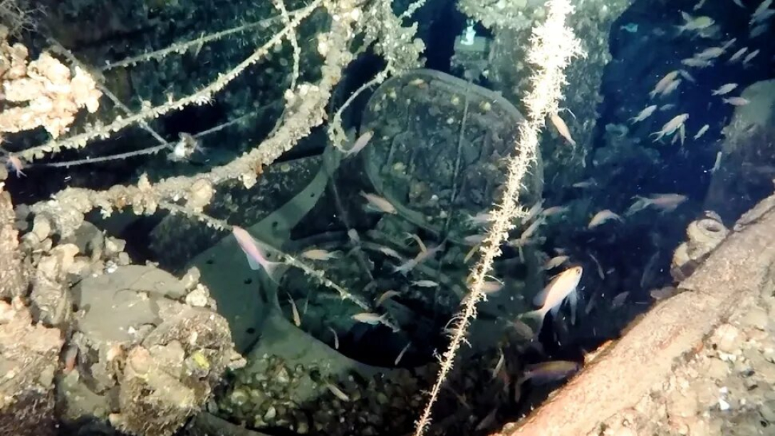 HMS Trooper был обнаружен в Эгейском море к северу от острова Донусса. Фото: Κostas Thoctarides/Planet Blue)