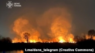 ДСНС: у Києві горить очерет і суха трава поблизу озера Тягле, триває гасіння