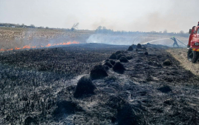 За минулу добу рятувальники ліквідували 5 пожеж в екосистемах Білоцерківщини